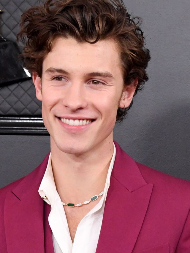 6 Suit Outfits By Shawn Mendes